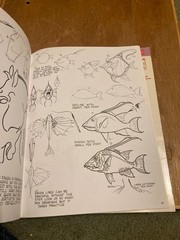 Walter Foster How to Draw Lot: Books 1 & 2: How To Draw And Paint.