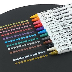 12 Color Bold and Fine Dual-tip Acrylic Paint Pen Set for Canvas 12 Colors