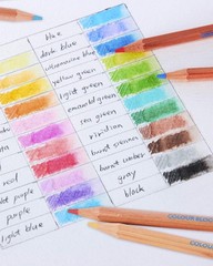 24PC Premium Cedar Wood Watercolor Pencil Set with I Ideal pencil kit for Dra…
