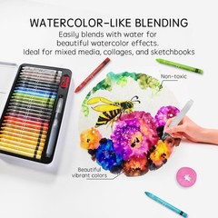 25 Colors WaterSoluble Pastel Crayons Set, MultiTechnique Art Kit with Brush …