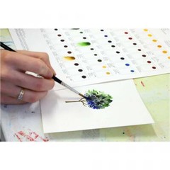Winsor & Newton Cotman Water Color Paint, Series 2, 21ml Tube