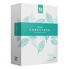 Lightweight Neenah Vellum Bristol Cardstock 325 Sheets Bright White 67 lb