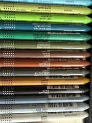 Caran d Ache Neocolor I 29 Count Water Resistant Wax Pastels Set in Metal Case