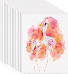 120 Sheets Watercolor Paper 8.5 x 11 White 140 lb