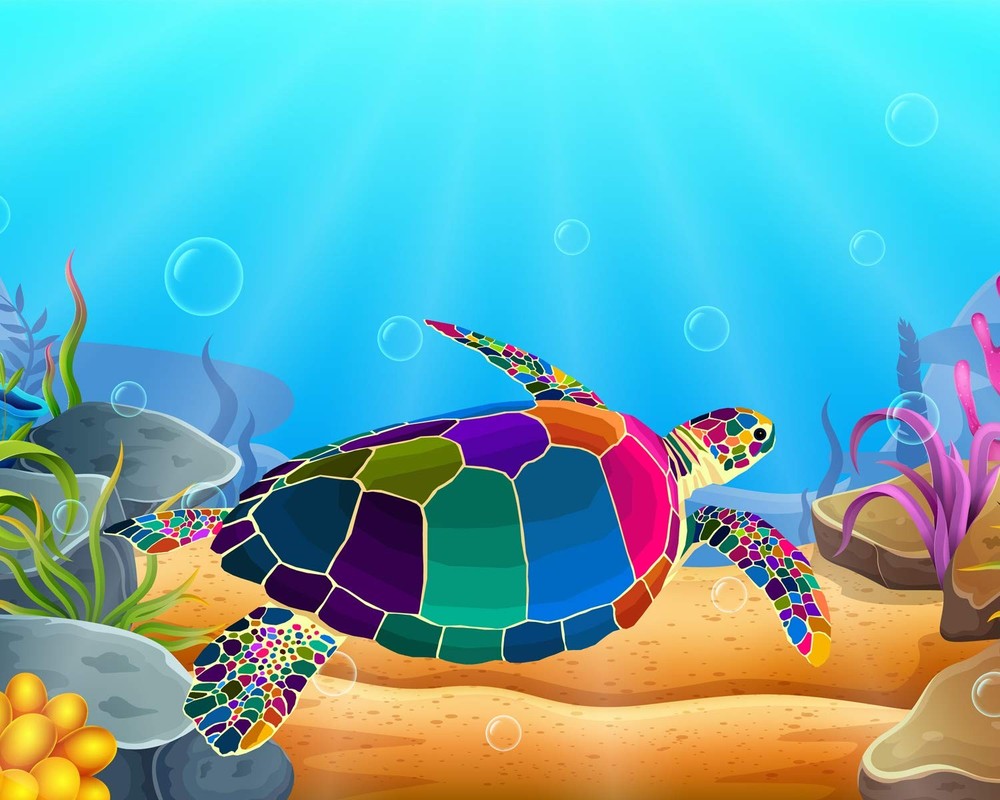 Tookeen Paint by Numbers Kit 19.5 cm x x 1.3 cm, Turtle Frameless-1