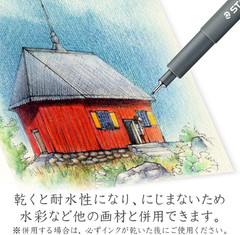 308 C2-9 Pigment Liner Black Chisel Tip 0.3-3.00 Mm