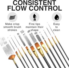 Professional Artist Paint Brush Set of 12 – Painting Brushes Kit for Kids, Ad…