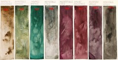 Rosa Gallery Watercolour Paint Tube 10ml Extra Fine Professional paint set