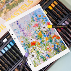 Professional Oil Pastels, 48 Vibrant Colors plus 4 White, Set of 52, Creamy and
