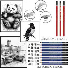 27 Piece Drawing Sketch Pencil Set for Artists Beginners Graphite & Charcoal Kit