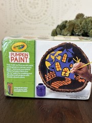 Crayola Pumpkin Paint Set And Other Surfaces in Autumn Colors