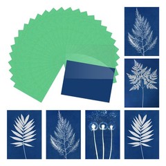 Cyanotype Paper,12 Sheet Sun Print Paper Green Crafts with Board, 2.9×4.1″