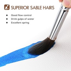 Sable Watercolor Brushes 7Pcs Kolinsky Sable Brush Set Variety Shapes
