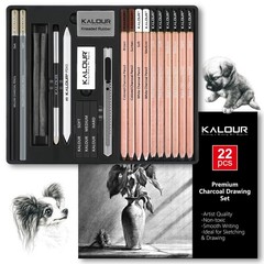 22pcs Charcoal Drawing Set, Professional Art Supplies, Black & White Charcoal…