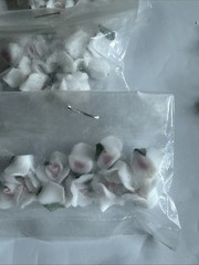 New Old Stock Lot Mini Bisque Porcelain Roses Ivory/Pink Crafts Project 100+ Pcs