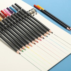 12Pcs Beige Color Drawing Pencils for Adult Coloring Books