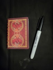 Playing card sketchbook/notebook – Bicycle Fyrebird cards – 50 pages