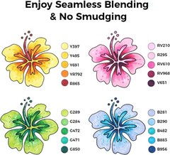 Ohuhu 80 Colors + 1 Colorless Alcohol Marker Blender – Chisel & Fine Dual Tips