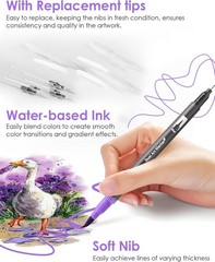 Art Markers Pens Dual Tip Coloring Markers Set with Brush & Fine Nib for Adult C