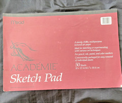 Art Paper & Sketch Pads Academe 18 x 12 & 11 x 8 & IMpressions 11 x 9 & Cartoon
