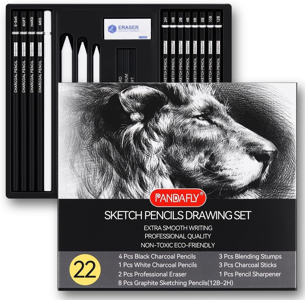 PANDAFLY Drawing Pencil Set 22pcs Graphite Charcoal Pro