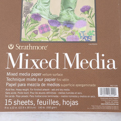Strathmore Mixed Media Vellum Paper Pad 9″X12″ lot of 3 (missing 3 sheets)