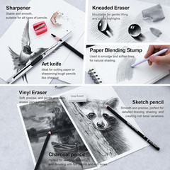 Professional Sketch Pencil Set 24 Pieces Graphite Charcoal Erasers Sharpener