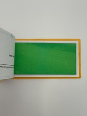 Nicholson’s Peerless Transparent Water Colors 2002 pigment leaves booklet artist