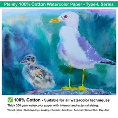 100% Cotton Watercolor Paper, 40 Loose Sheets, 14×10”, Cold Press, 300gsm (14…