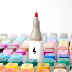 Hopesky Alcohol Markers 168 Colors, Dual Tip Art Markers Set with Fine & Chis…