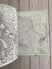 Adult Coloring Book Fox Owl Fantasy Designs To Enchant Teen Activity Gift Idea
