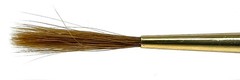 Lot of 3 – Winsor & Newton Sceptre Gold II Brush 303 Series Size 2 Short Rigger