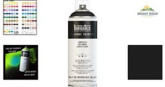 Professional Acrylic Spray Paint, 12oz Can for Interior and Exterior Use