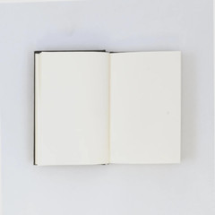 Notebook Sketchbook Drawing Art Book Hardbound with Unlined Pages 8.5”x11” .