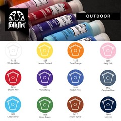 FolkArt Outdoor Gloss Acrylic Craft 2 Fl Oz (Pack of 12), 12 Assorted Colors