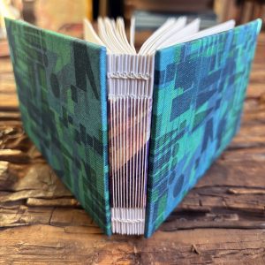 PUNC*T WHISPER/SARDI notebook