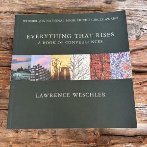 Everything That Rises