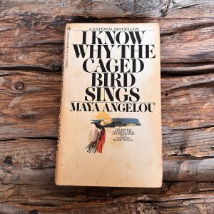 I Know Why The Caged Bird Sings